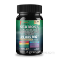 Supporto per capelli olio di semi neri Supplemento muschio marino